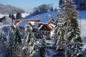 ein Haus im Schnee mit schneebedeckten Bäumen in der Unterkunft Müllerleile Hof in Haslach im Kinzigtal