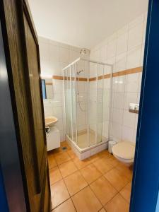 e bagno con doccia, servizi igienici e lavandino. di Monteurzimmer in Kevelaer a Kevelaer