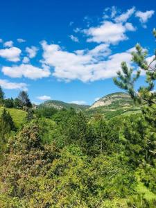 zielony wzgórze z drzewami i niebieskim niebem z chmurami w obiekcie Mas Provençal en Drôme w mieście Condorcet