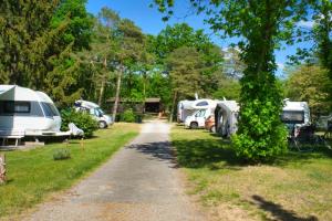 a group of rvs parked next to a road at Camping Aller Leine Tal in Engehausen