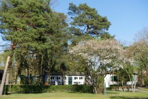 a house in the middle of a forest of trees at Camping Aller Leine Tal in Engehausen
