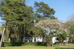Zahrada ubytování Camping Aller Leine Tal