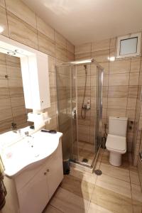 a bathroom with a shower and a toilet and a sink at Tris Ekklisies Beachfront Apartment - Ammos in Paránimfoi