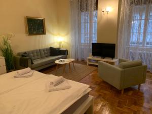 a living room with a bed and a couch and a tv at Appartement Bohème Budapest in Budapest