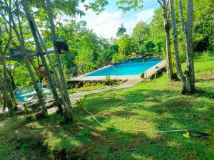 un cortile con piscina e alberi di FrancoEly's A Family Camp a Daliao