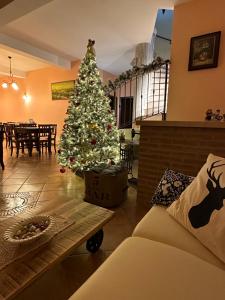 un arbre de Noël dans un salon avec un canapé dans l'établissement B&B Il Girasole - Suite & Luxury Private Spa, à Castel di Sangro