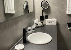 ツェルマットにあるホテル アルバトロスのバスルーム(白い洗面台、鏡付)