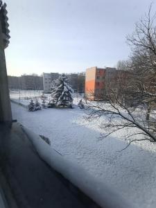 Mieszkanie w centrum v zimě + 1 fotografie