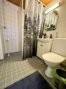 a bathroom with a toilet and a shower at City Home Lahti in Lahti