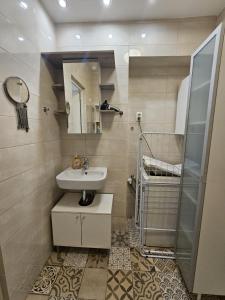 ein Bad mit einem Waschbecken und einer Dusche in der Unterkunft Smart studio in the heart of Budapest in Budapest