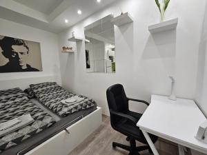 um quarto com uma cama, uma secretária e uma cadeira em Smart studio in the heart of Budapest em Budapeste
