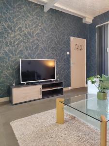 uma sala de estar com uma televisão de ecrã plano na parede em Find yourself apartment Dunkerque em Coudekerque-Branche