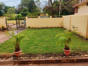 two palm trees in pots in a yard at Sangeeta's Homestay in Jagdalpur