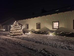 Un árbol de Navidad con luces delante de un edificio en Zielone Ranczo, en Iława