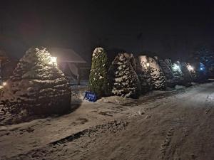 una fila de árboles cubiertos de nieve por la noche en Zielone Ranczo, en Iława