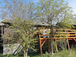 a tree house built on the side of a building at Chalet HEUREux in Somme-Leuze