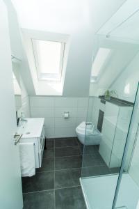 een badkamer met een toilet, een wastafel en een dakraam bij Ferienweingut Ulrike Thul in Leiwen