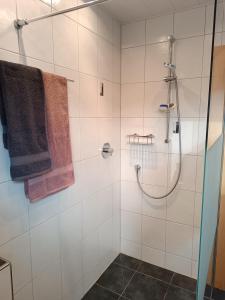 a bathroom with a shower with a glass door at Elli's Moseloase - Riol in Riol
