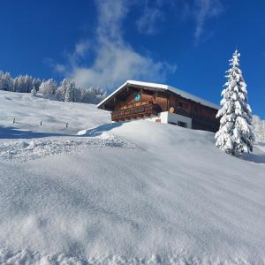 a building on a snow covered slope with a tree at Haus Obweg - Postalm in Hallein