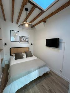 1 dormitorio con 1 cama y TV de pantalla plana en Notre-Dame de Paris - Ile de la Cité en París