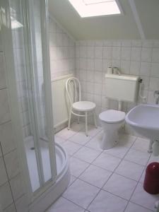 een badkamer met een douche, een toilet en een wastafel bij Crox Houcke 65 in Nieuwvliet