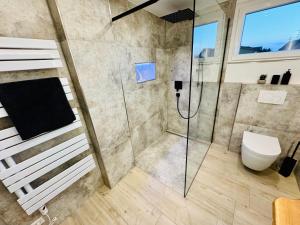 a bathroom with a shower and a toilet at Landloft in Oberteuringen +16 photos