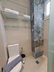 a bathroom with a toilet and a shower at paris villas in Mitika +10 photos