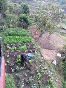 Foto sihtkohas Pokhara asuva majutusasutuse GAUTAM GARDEN GUEST HOUSE galeriist