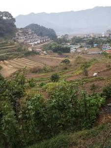Foto sihtkohas Pokhara asuva majutusasutuse GAUTAM GARDEN GUEST HOUSE galeriist