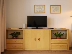 a television on a wooden cabinet with two plants at Apartment Allod-Park-5 by Interhome in Davos