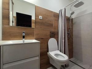 uma casa de banho com um WC, um lavatório e uma televisão em Holiday Home Penzion minigolf Příchovice by Interhome em Kořenov