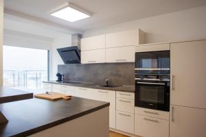 Afbeelding uit fotogalerij van Penthouse Visp - mit großer Dachterrasse und Panoramablick in Visp