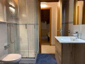 a bathroom with a shower and a toilet and a sink at La Fossola - vicino al Bernina Express in Tirano +7 photos