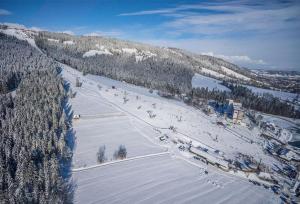VisitZakopane - Tatra Ski Apartment ziemā