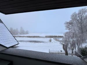 widok na pokryte śniegiem pole z okna w obiekcie Ferienwohnung am See w mieście Heilshoop