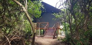 a house with stairs in the middle of a forest at Camp Seluu - Safari Pkg in Kwangwazi