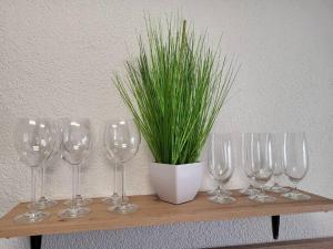 una fila di bicchieri da vino su una mensola con una pianta di Schönes Ruhiges Appartement a Crailsheim