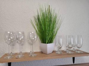 a row of wine glasses on a shelf with a plant at Schönes Ruhiges Appartement in Crailsheim +3 photos