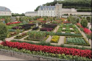 un jardin fleuri et un bâtiment en arrière-plan dans l'établissement Côté Château, à Chinon