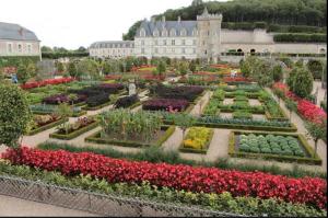 einen Garten mit Blumen und ein Gebäude im Hintergrund in der Unterkunft Côté Château in Chinon