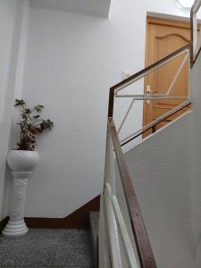 eine Treppe mit einer Pflanze in einer Vase neben einer Tür in der Unterkunft Casa MaySa in Cacabelos
