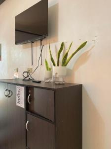 エルニドにあるMIA Affordable roomsの植物の上のテレビ