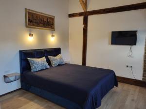 Schlafzimmer mit einem blauen Bett und einem Flachbild-TV in der Unterkunft Apartment By the River in Niš
