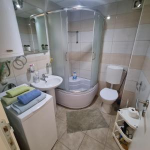 y baño con lavabo, aseo y ducha. en ZVEZDA LUX, en Kruševac