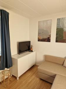 een woonkamer met een bank en een flatscreen-tv bij Lille bo in Silkeborg