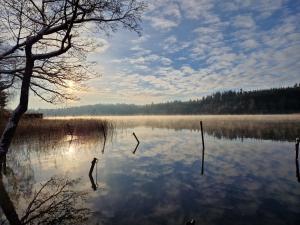 Lille bo في سيلكبورج: اطلالة على بحيرة مع انعكاس الشمس في الماء