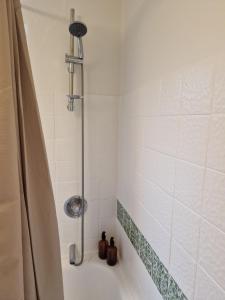 een badkamer met een douche en een bad bij Lille bo in Silkeborg