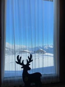 a silhouette of a reindeer in front of a window at Blick Tirol direkt auf der Skipiste in Mittersill