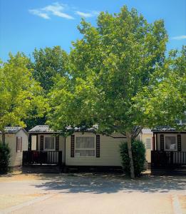une rangée de mobile homes avec un arbre en face dans l'établissement Bungalows Zaragoza Camping, à Saragosse