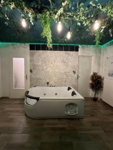 Ένα μπάνιο στο The Jungle SPA Strasbourg +50 φωτογραφίες